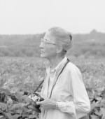 Louise Boyle