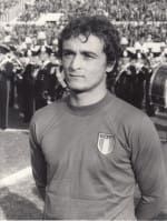 Vincenzo D’Amico
